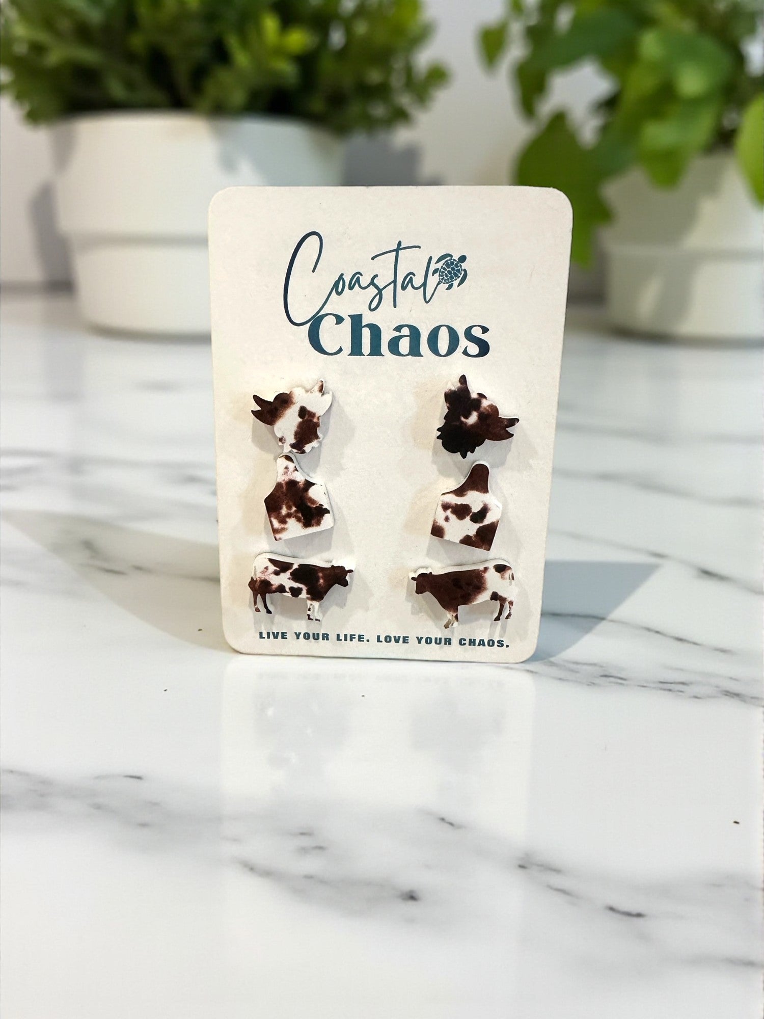 A pair of earrings with cow designs, displayed on a white card with the text "Coastal Chaos" and the phrase "Live Your Life. Love Your Chaos."