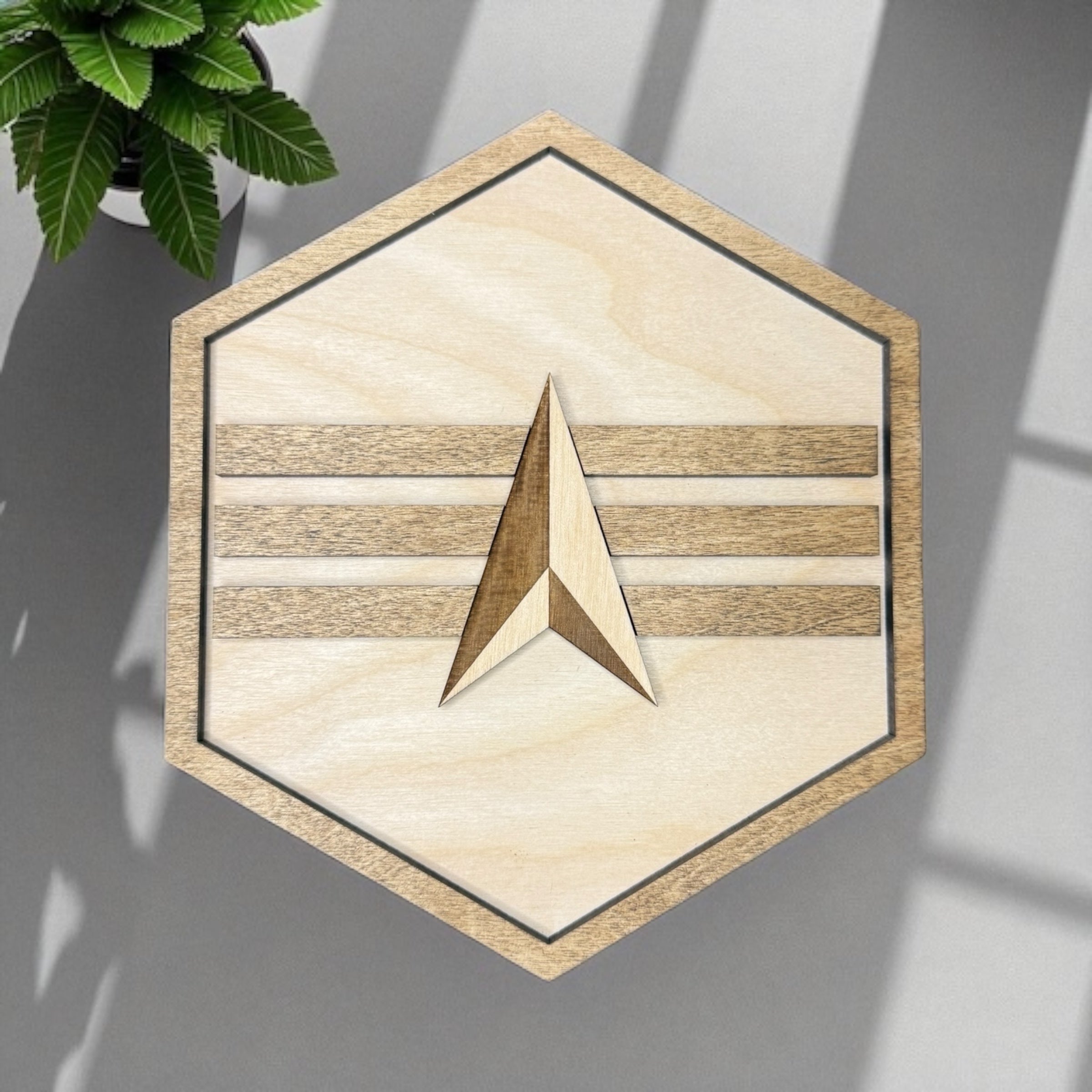 Space Force promotion stripes - Coastal Chaos LLC