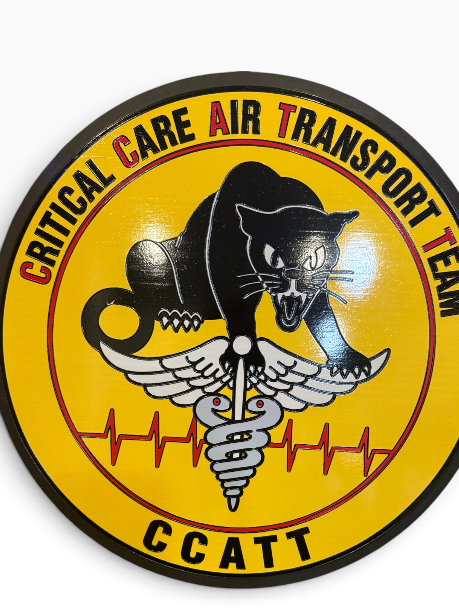 Custom Logo Plaque – UV Printed Wood Wall Display | Squadron, Business, or Organization Emblem