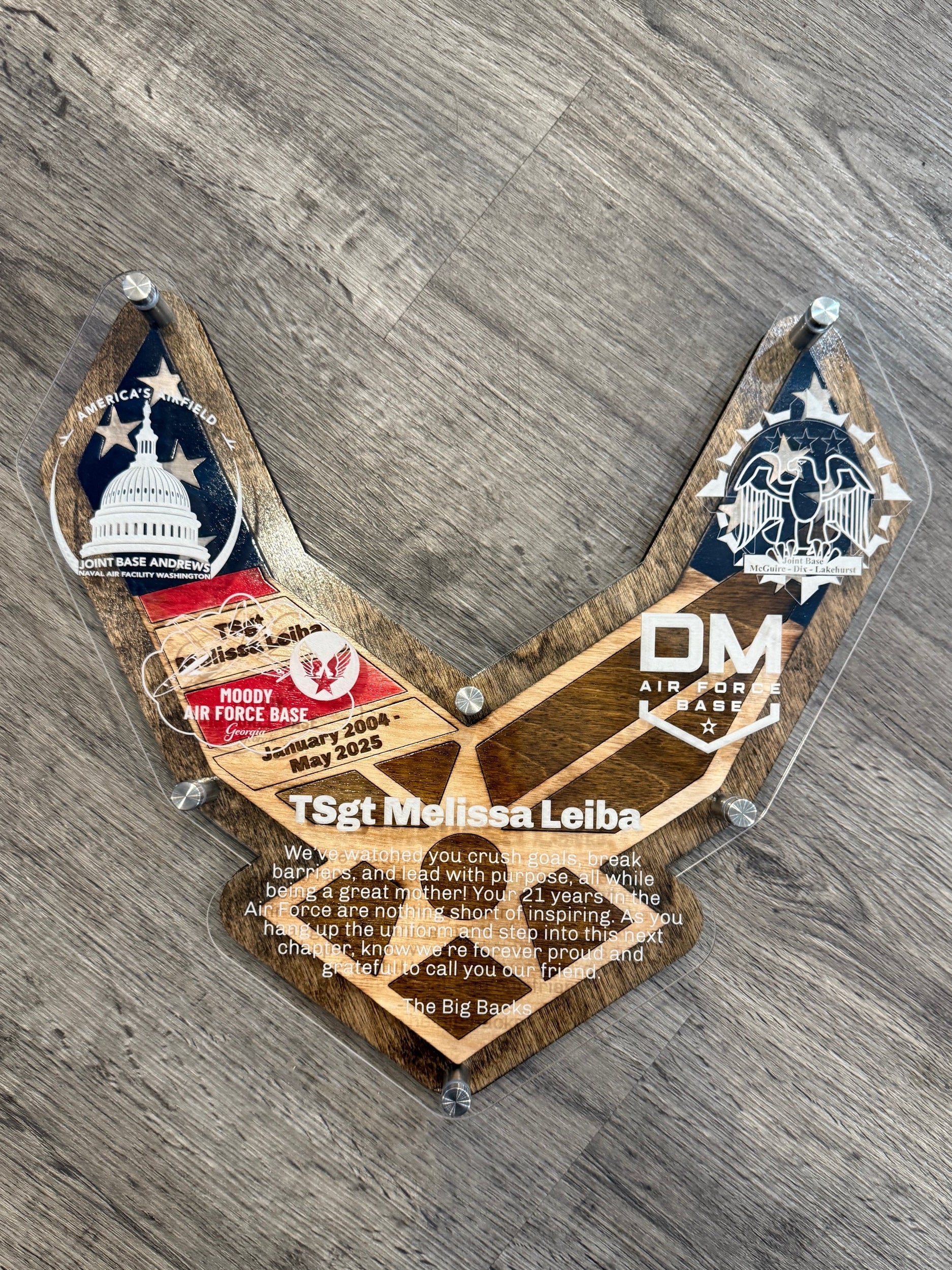 Custom Air Force Wing Plaque