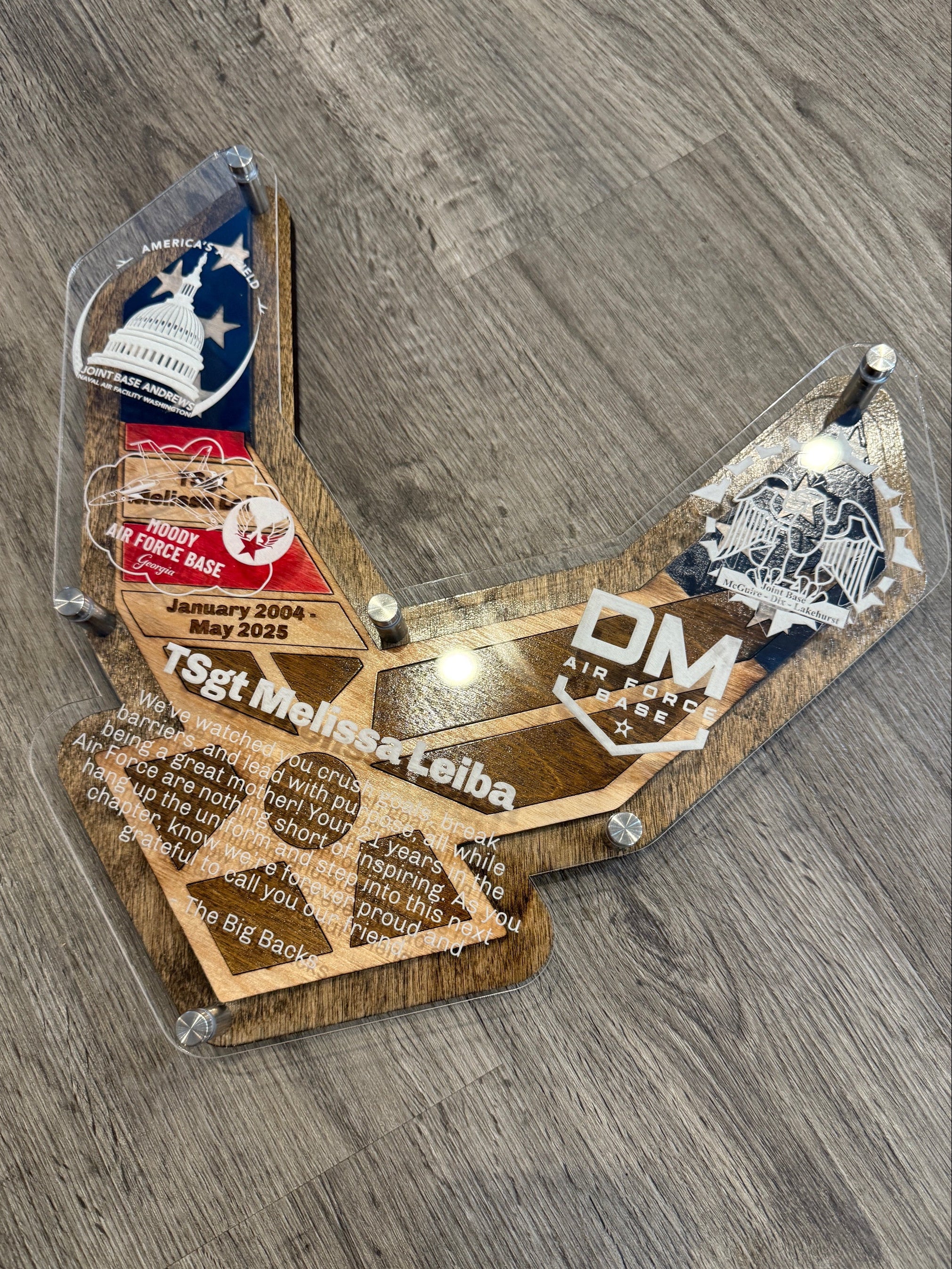 Custom Air Force Wing Plaque